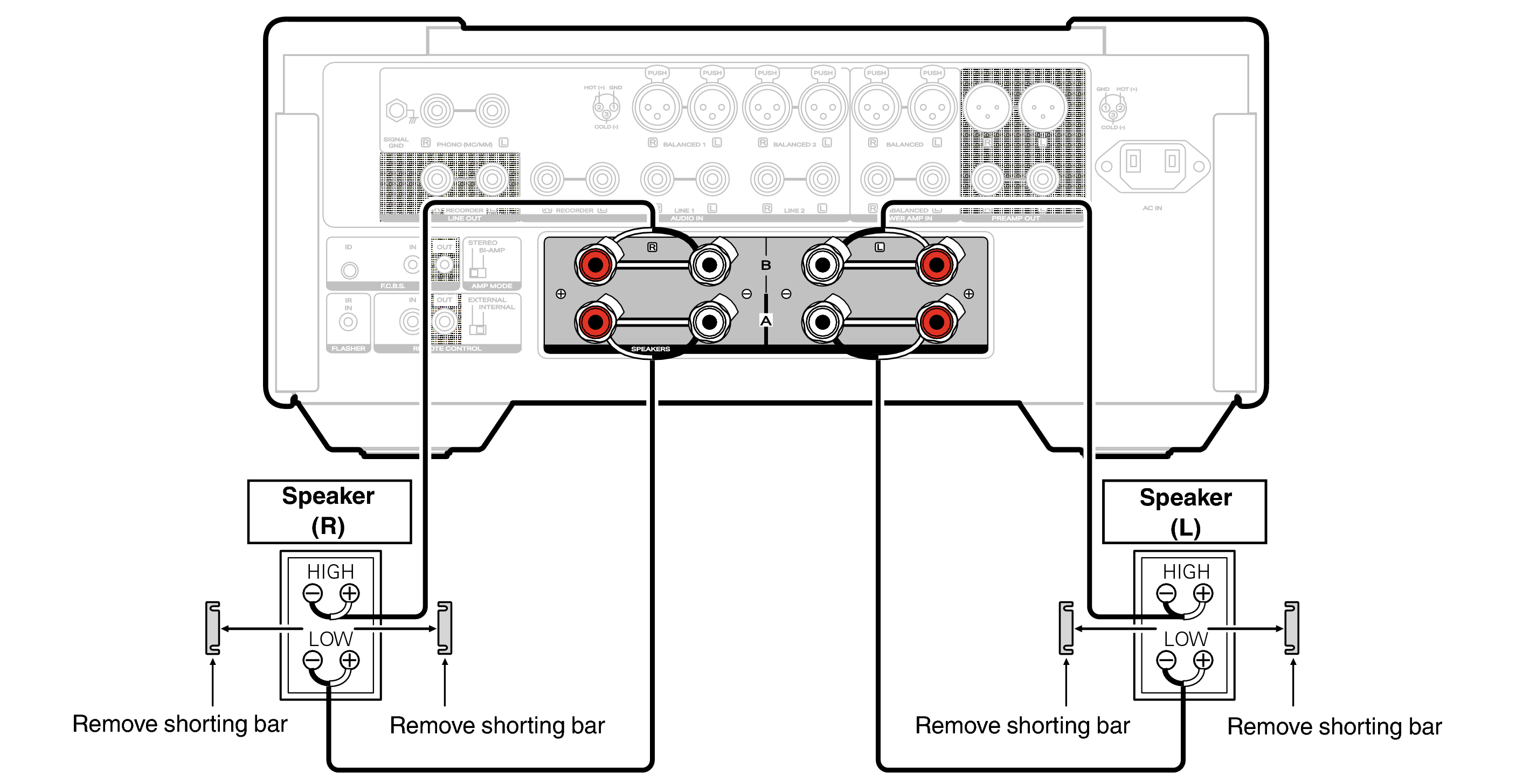 Bi-wiring connection MODEL 10