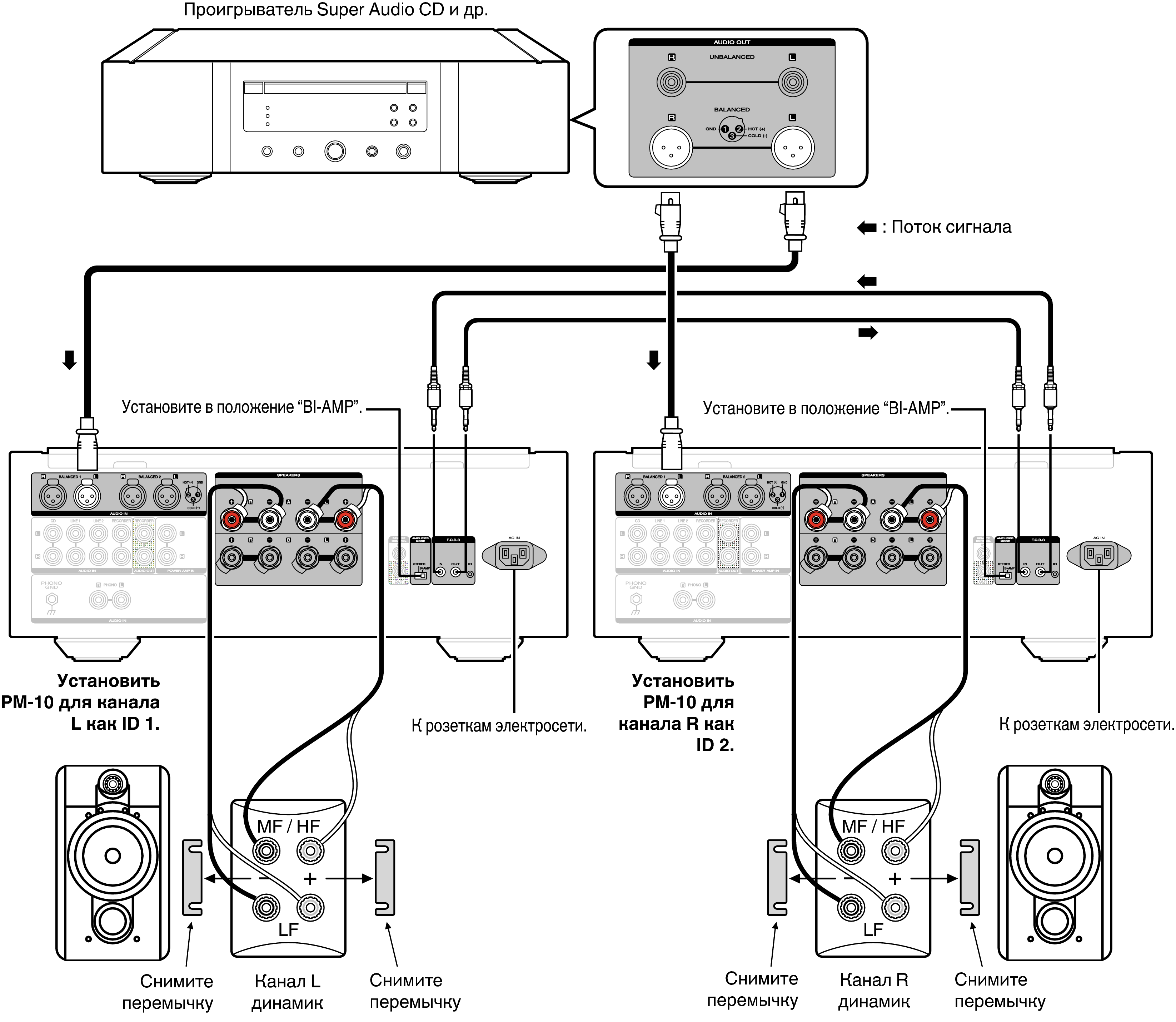 Подключить колонку через интернет. Bi-amp схеме. Усилитель с bi wiring. Bi-amping/bi-wiring ресивер. Bi-amp подключение.